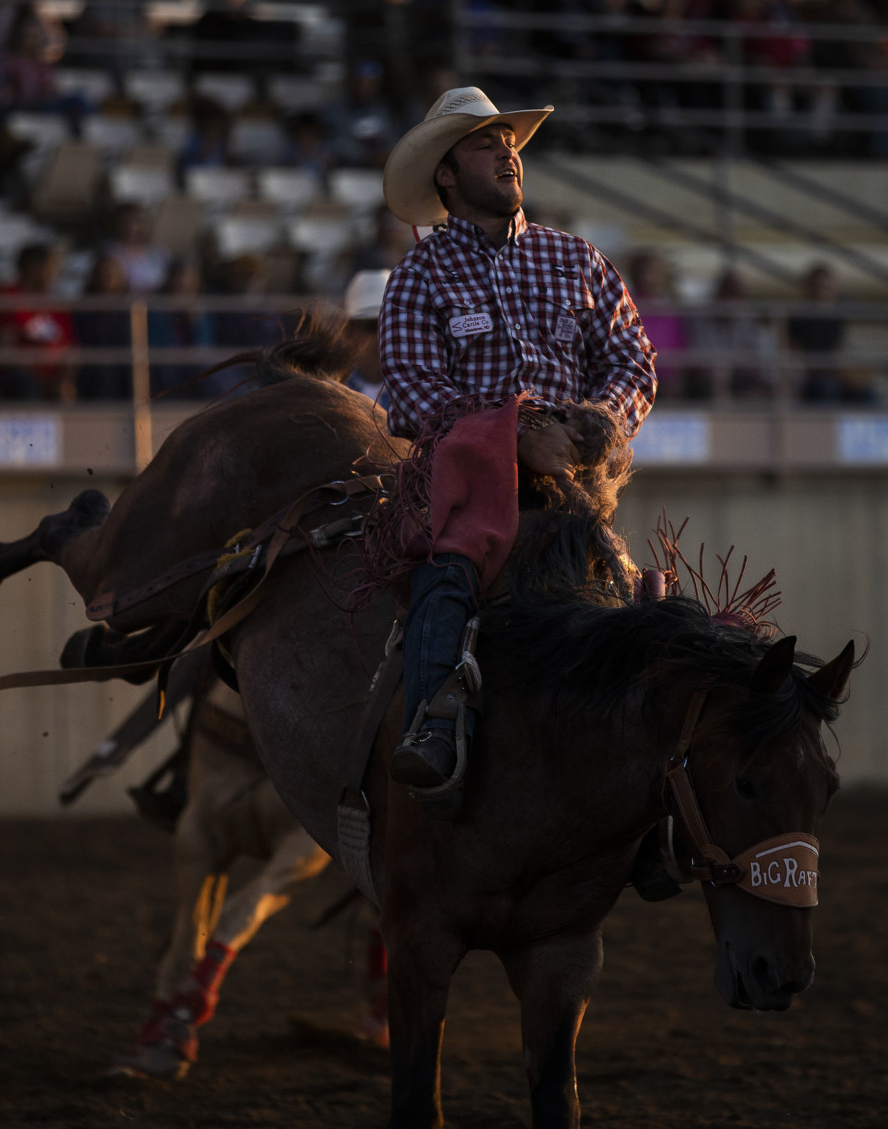 Rodeo